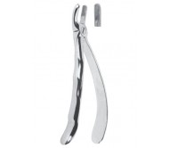 Extracting Forceps